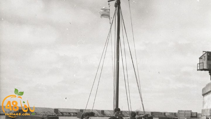 صور نادرة من عام 1948 - لحظة رفع العلم الاسرائيلي في ميناء يافا 